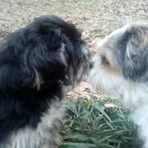 Meet your Posher, Sue